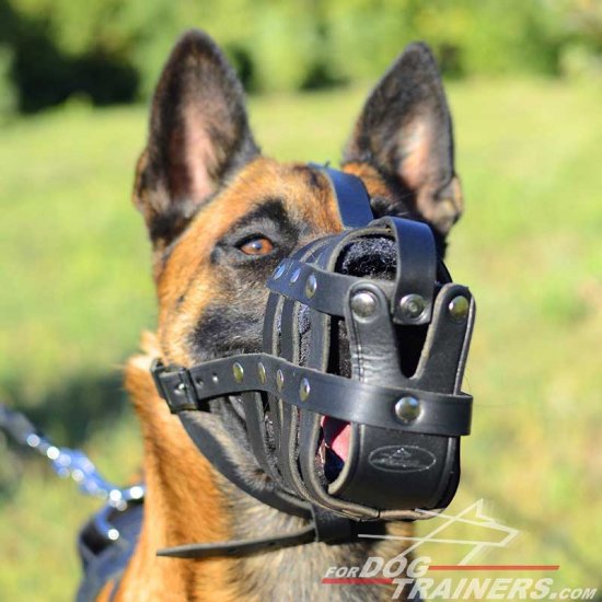 dog muzzle for belgian malinois