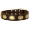 Retro Rulz - Gorgeous Vintage Dog Leather Collar - C103_4