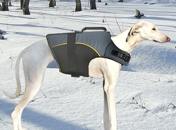 30% Discount - NEW 2023 All Season Extra Strong Nylon Vest Dog Harness - H13-Outdoor