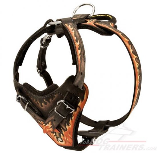 Flames Painted Training Amstaff Harness with Adjustable Straps