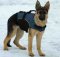 30% Discount - NEW 2023 All Season Extra Strong Nylon Vest Harness - H13-Outdoor(German Shepherd)
