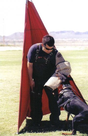 Intermediate Training Dog Sleeve Made of Natural Jute