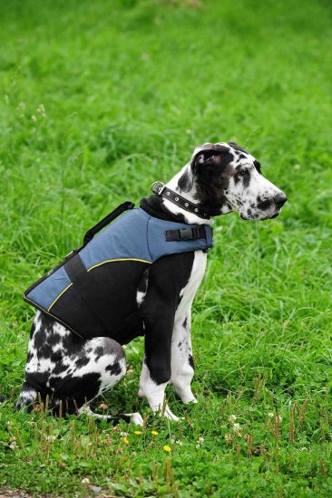 30% Discount - NEW 2023 All Season Extra Strong Nylon Vest Dog Harness- H13-Outdoor