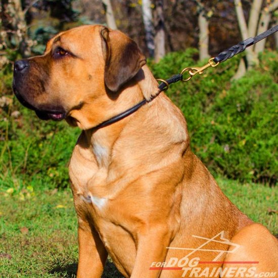 NEW 2023 Round Leather Silent Training Cane Corso Choke Collar