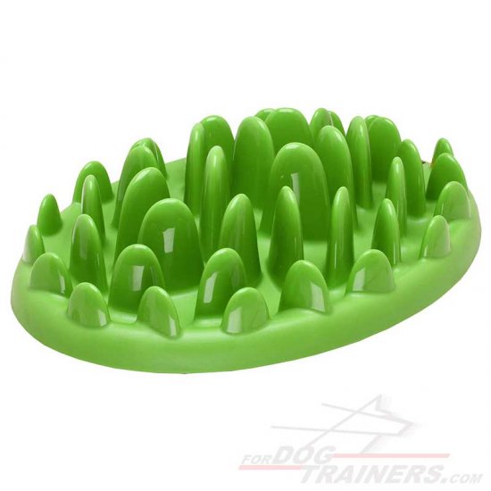 green dog feeder