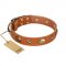 “Visual Magic” FDT Artisan Tan Leather Dog Collar for Daily Activities- 1 1/2 inch (40 mm) wide