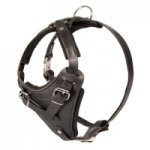 Great Attack Training Leather Canine Harness for Large/Medium Breed Dogs