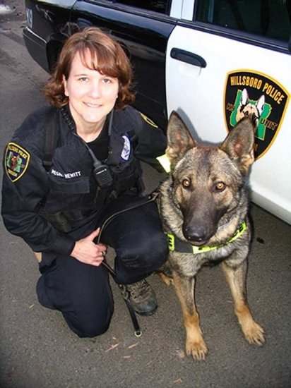 German Shepherd Braided Leather Dog Leash with Brass Plated Hardware