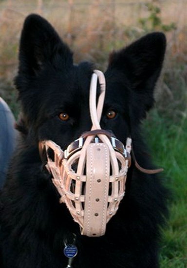 Leather basket dog muzzle - M1_2