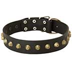 Designer Leather Dog Collar with Row of Brass Cones