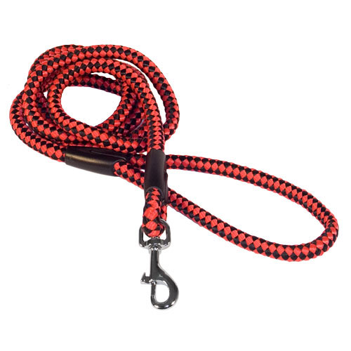 Black&Red Dog Leash