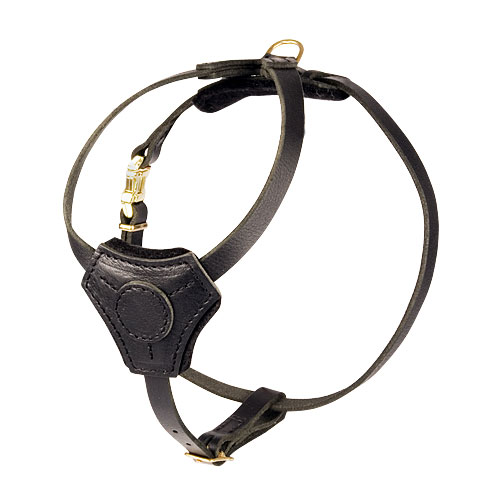 Order Padded Leather Harness For Small Dogs And Puppies - Small Dog Leather Harness Order Padded Leather Harness For Small Dogs And Puppies - Small Dog Leather Harness