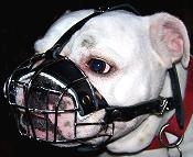 Basket Wire Dog Muzzle Light For English Bulldog