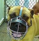 Wire Basket Dog Muzzles
