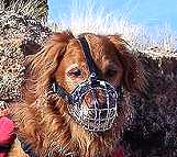 Basket Wire Dog Muzzle Light