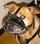 Dog Muzzles