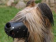 Briard Leather dog muzzle