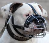 Wire Dog Muzzle Light For American Bulldog