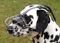 Wire Dog Muzzle Light For Dalmatian