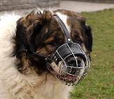 Wire Basket Dog Muzzles