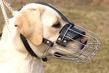 Basket Wire Dog Muzzle Light For Labrador