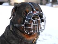 Dog Muzzle Light For Rottweiler