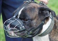 Wire Dog Muzzle Light for BOXER