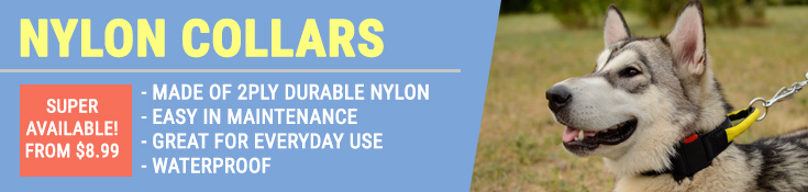 Nylon Collars are Made of 2Ply Durable Nylon, Easy in Maintenance, Great for Everyday Use and Waterproof