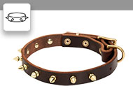 Spiked Dog Collars  Spiked Dog Collars
