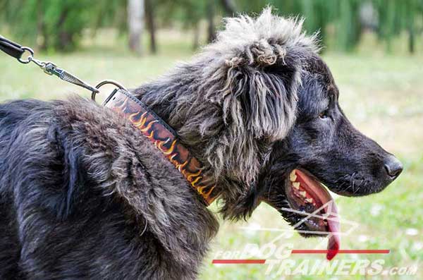 Wide Leather Caucasian Shepherd Collar