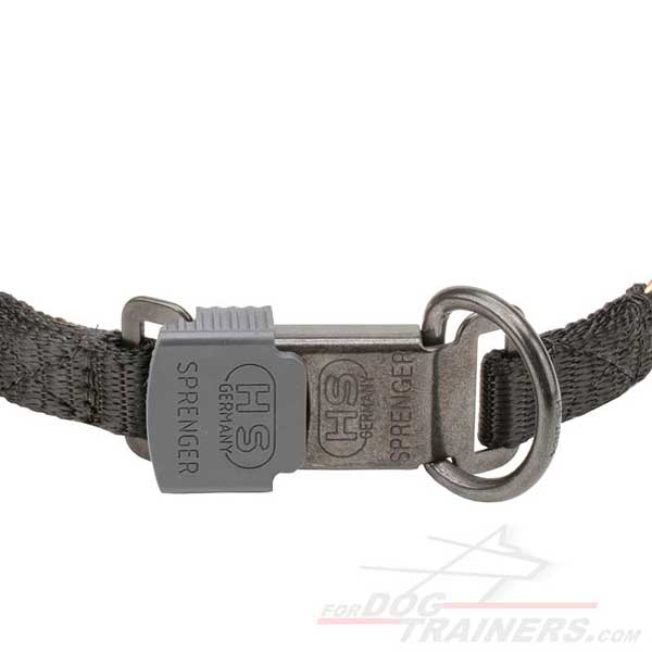 Dog Pinch Collar with safe click lock buckle