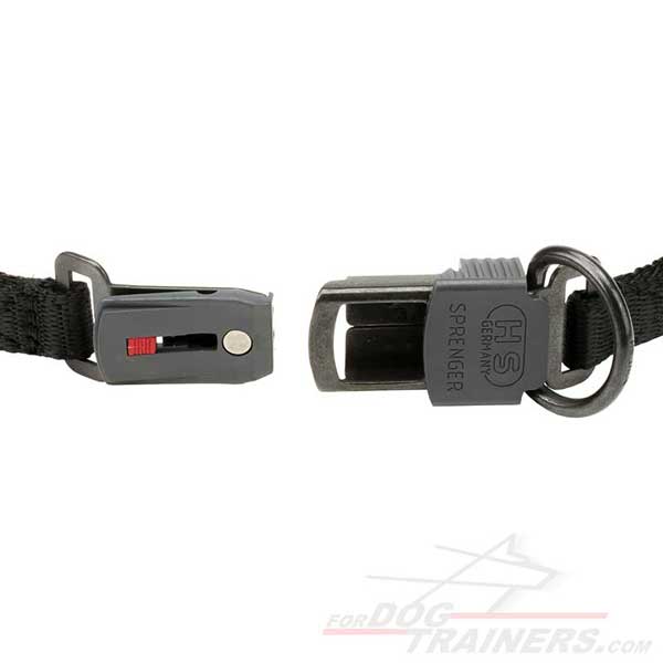 Dog Pinch Collar with click lock buckle