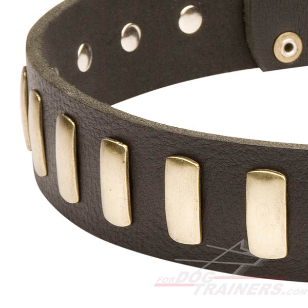 Fashionable Leather Collar