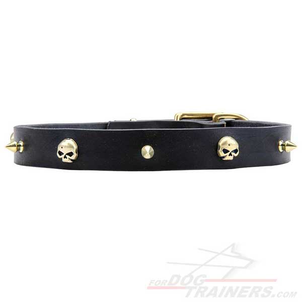 Exclusive decorated spikes and skulls collar