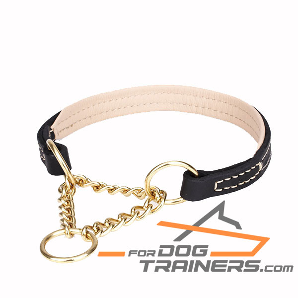 Martingale Dog Collar with Strong Chain 