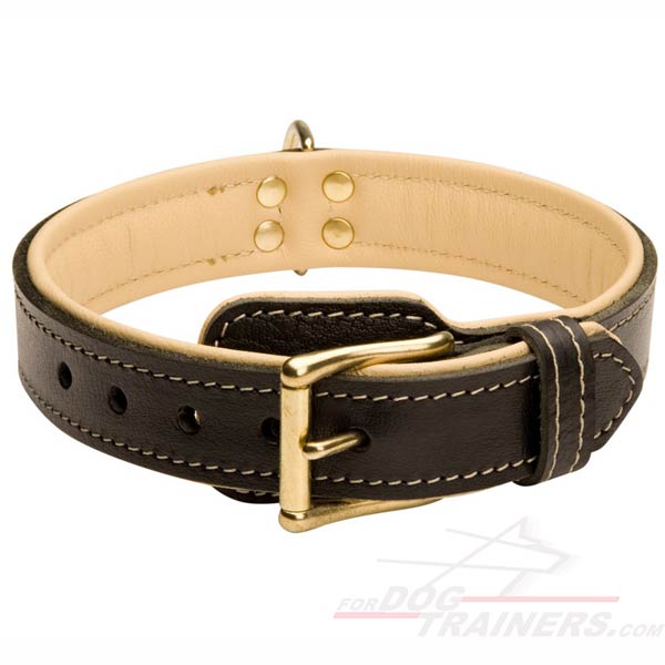 Padded Leather Collar