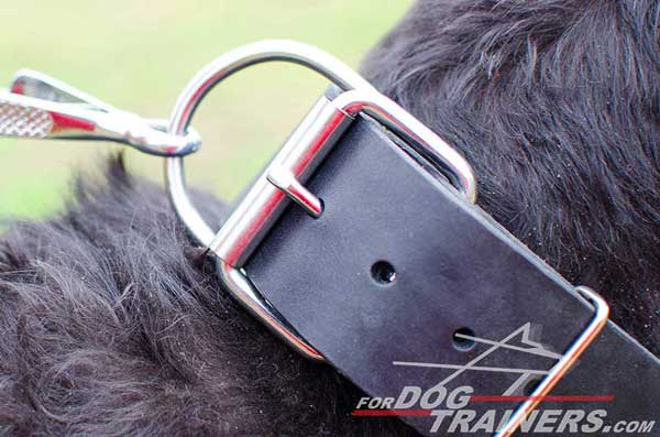  Super Strong Leather Dog Collar with Nickel-plated Buckle