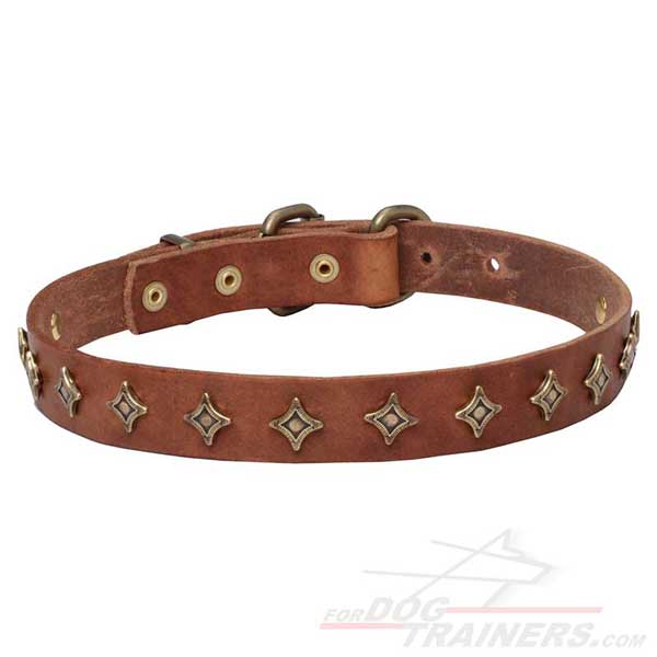 Rust-resistant fittings for tan leather dog collar