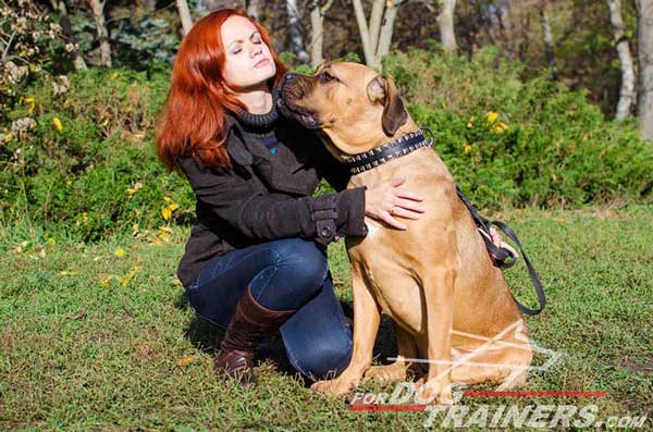 Dog Walking Leather Collar