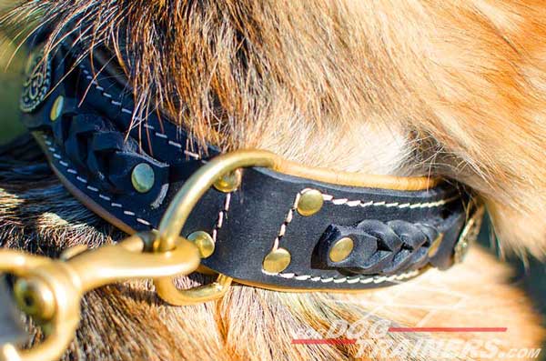 Brass Solid D-Ring Placed At The Back Of The Neck for Fast Leash Connection
