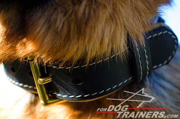 Buckle Made of Brass Guarantees Correct and Comfy Fit of The Collar
