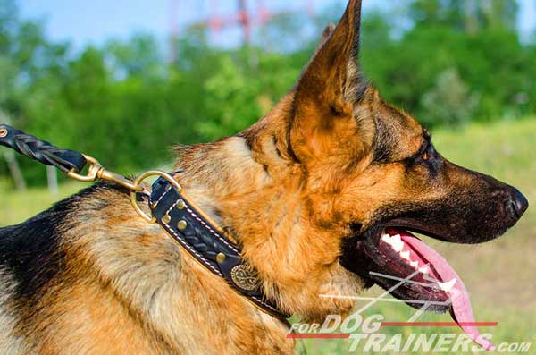 Dog Collar Leather Decorated Skillfully for Walking German Shepherd