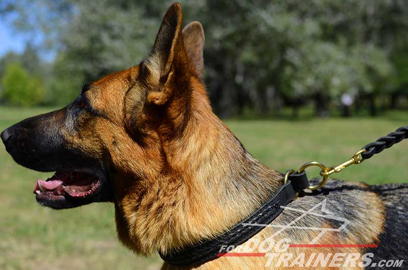 german shepherd choke collar