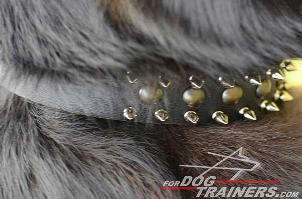 Amazing Spikes And Gorgeous Studs Set in 3 Rows To Bring Out The Beauty Of Dog Collar
