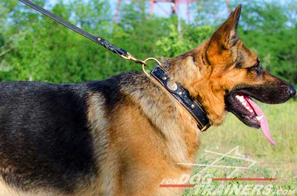 Braided Leather Dog Collar