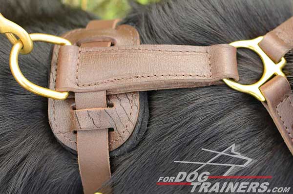 Rustproof Brass D-Ring of German Shepherd Harness Leather