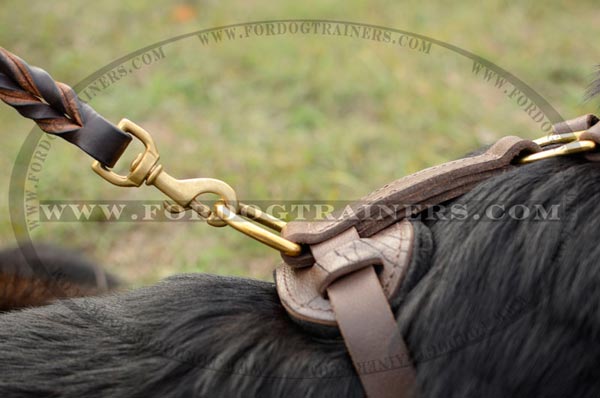Brass D-Ring of Walking German Shepherd Leather Harness