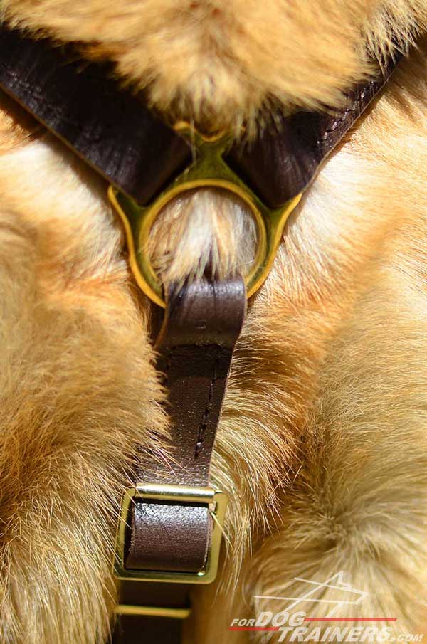 Durable Brass Hardware of Leather German Shepherd Harness