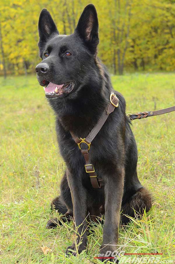 Tracking Leather German Shepherd Harness Adjustable