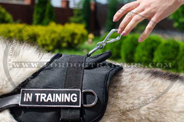Soft and super lightweight nylon harness with ID-patches for Siberian Husky